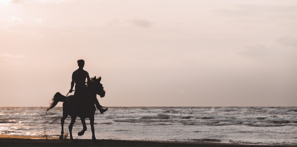 Man riding horse at the beach in the sunset